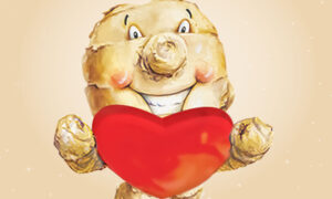 How Ginger Affects Your Heart Health