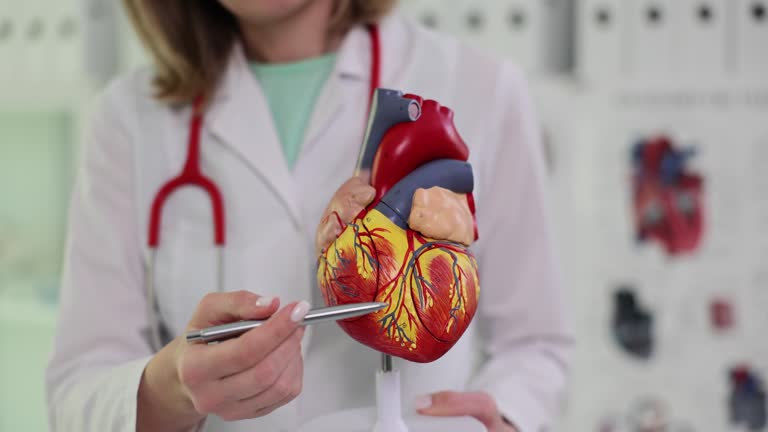What Are the Signs of a Healthy Heart? 