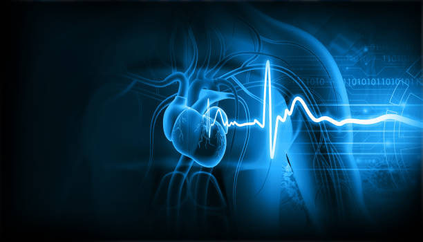 What is Heart Rate? 